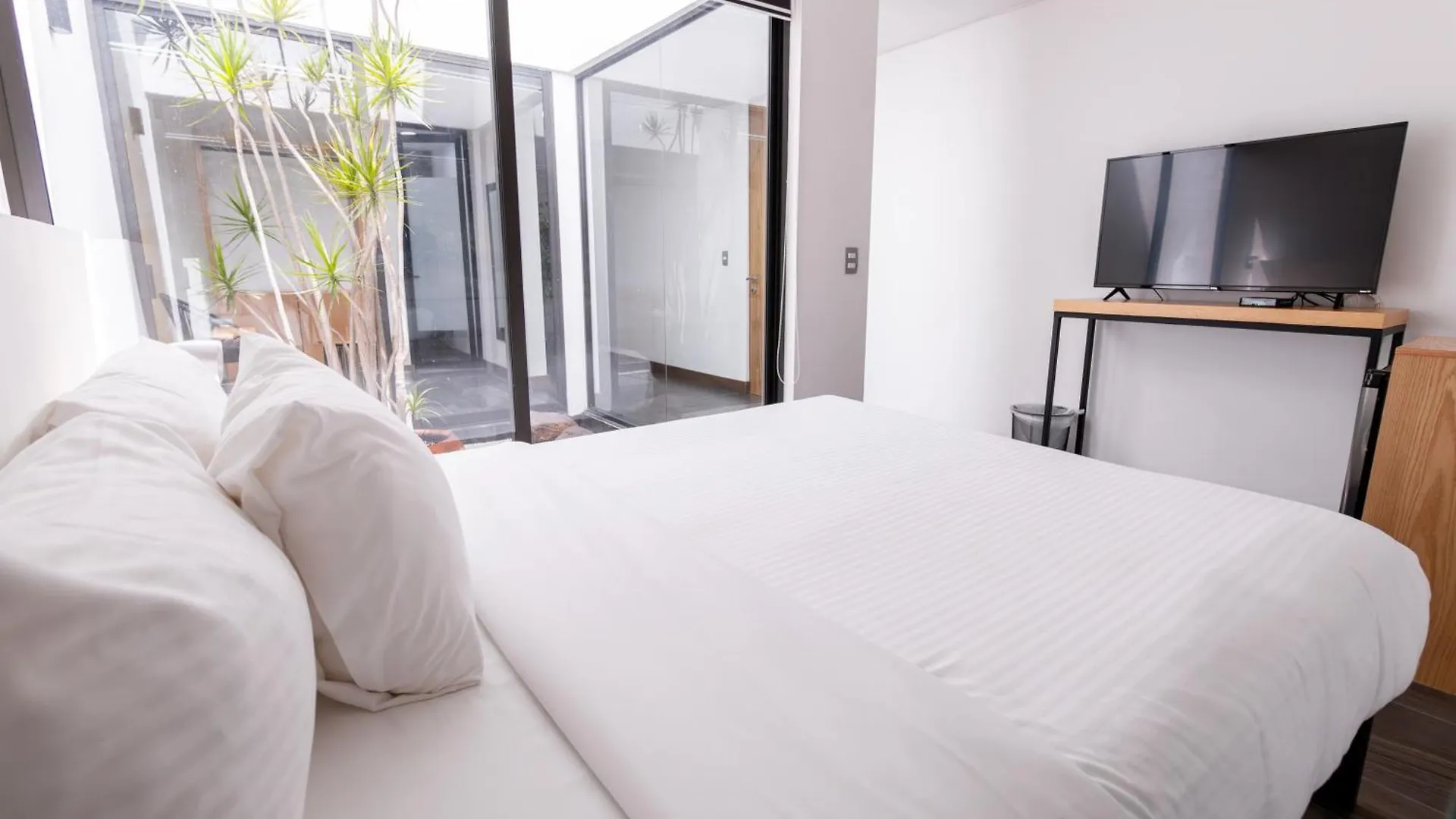 Urban Puebla By Grupo Amber Hotel